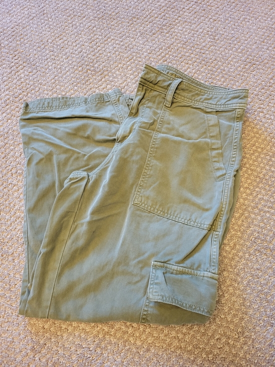 American Eagle Outfitters Pants - American Eagle Outfitters Sage Green Cargo Pants